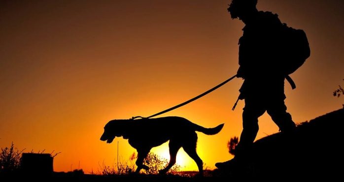 a65570bd40d125cfe6abacbf85e96b3b