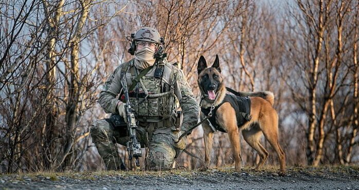 weapons-dog-army-soldiers-wallpaper-preview