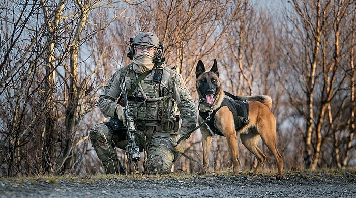 weapons-dog-army-soldiers-wallpaper-preview